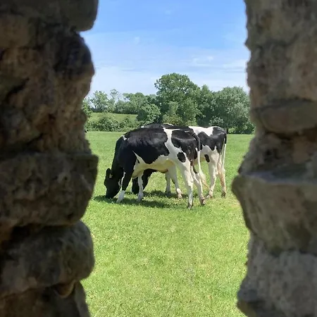 Gite La Grande Menuere アパート *